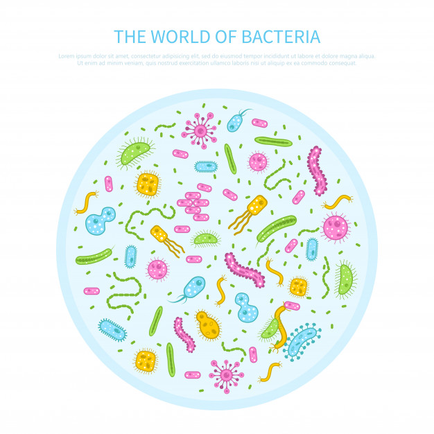 bacteries